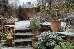 Зимовий Догляд за Садом: Як Підготувати Рослини та Газон до Холодів