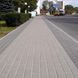 Тротуарна плитка Кирпич 200х100х40 мм Сірий ТМ Золотий Мандарин