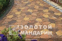 Тротуарная плитка Песчаник 60 мм Верона ТМ Золотой Мандарин