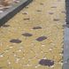 Тротуарна плитка Маргарита 60 мм Сірий ТМ Золотий Мандарин