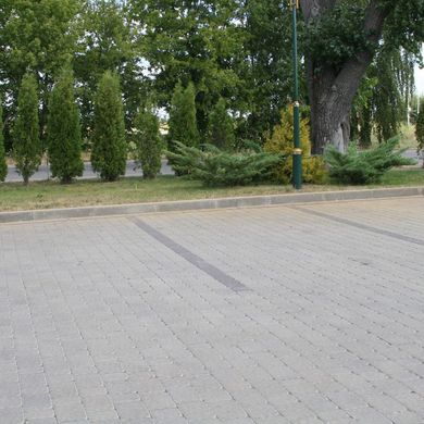 Тротуарна плитка Стара Площа 60 мм Реджио ТМ Золотий Мандарин