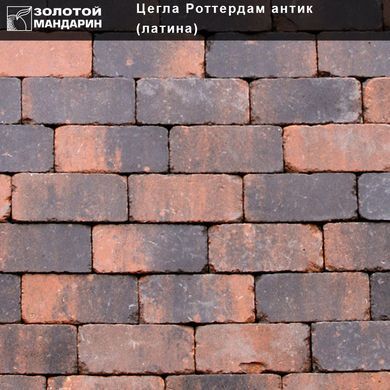 Тротуарная плитка Кирпич Роттердам Антик 250х120х65 мм Латина