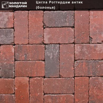 Тротуарна плитка Кирпич Роттердам Антик 250х120х65 мм Болонья