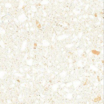 Напольная плитка полированная Pizzaro White 60x60 см Raviraj Ceramics