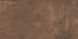 Плитка керамогранитная Argilla Walnut 300x600x8 Cerrad