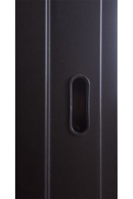 Вхідні двері модель Solid Glass (колір Ral 8022T) комплектація Defender [Складська програма]