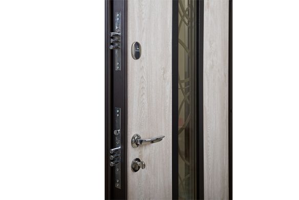 Вхідні двері модель Solid Glass (колір Ral 8022T) комплектація Defender [Складська програма]