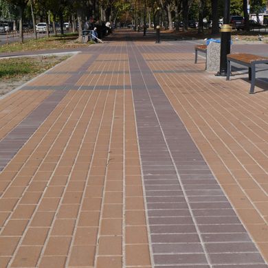 Тротуарная плитка Кирпич 200х100х60 мм Серый ТМ Золотой Мандарин