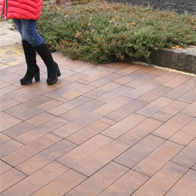 Тротуарная плитка Паркет 60 мм Грейс ТМ Золотой Мандарин