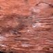 Фасадна плитка Шале Сангрія 500х200х30, 500х100х30, 200х100х30, 100х100х30 мм ТМ Золотой Мандарин