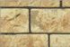 Фасадная плитка Меотис Онтарио 200х100х20, 150х100х20, 100х100х20 мм ТМ Золотой Мандарин
